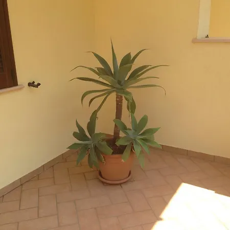 Casa Vacanze Apartment Gallipoli