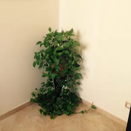 Casa Vacanze Apartment
